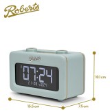 Roberts_rev_rest_DE_dims