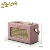 Roberts_REV-UNODP_dims