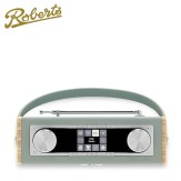 Roberts_Ramblermax_duck_display