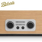 roberts_bluetune300L_controls